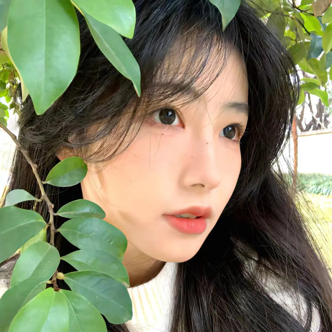 天网孽情